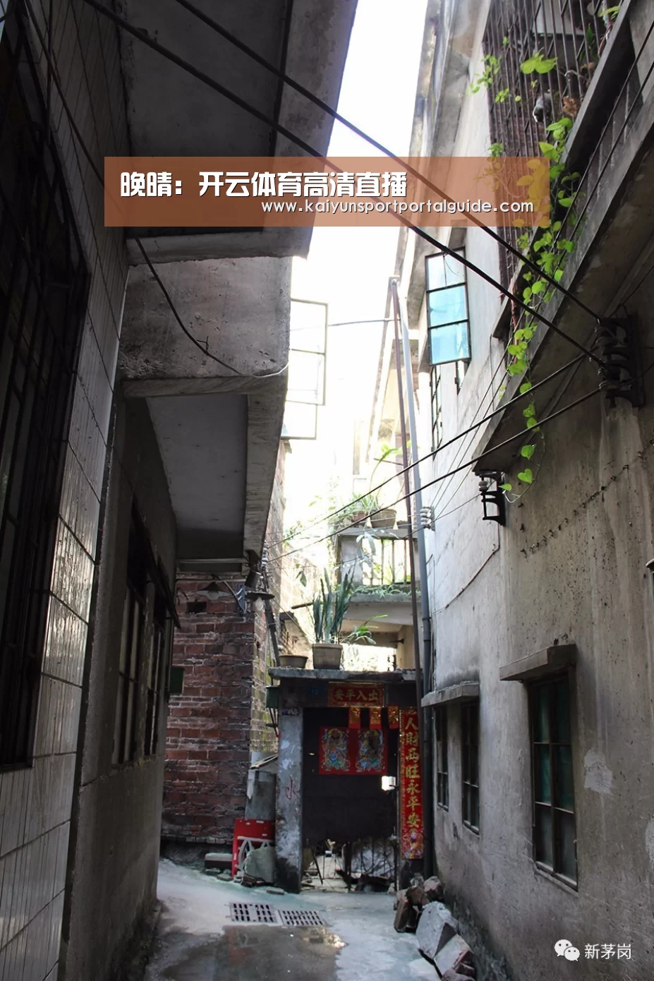 晚晴:开云体育高清直播